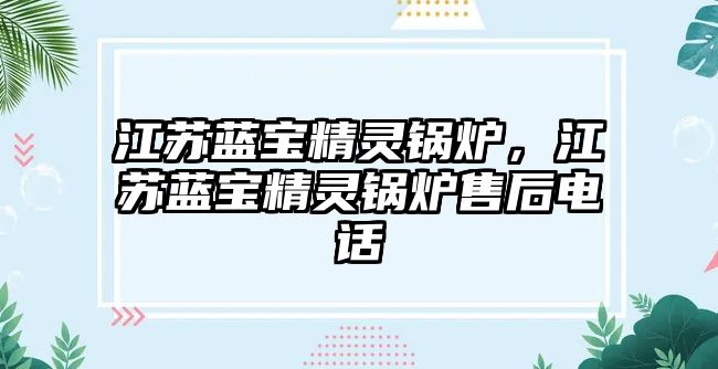 江蘇藍寶精靈鍋爐，江蘇藍寶精靈鍋爐售后電話