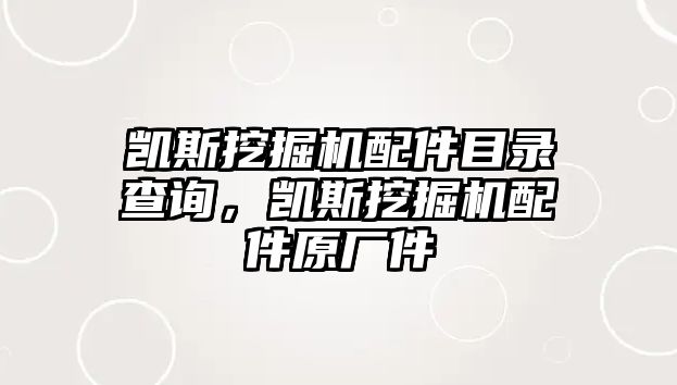 凱斯挖掘機配件目錄查詢，凱斯挖掘機配件原廠件