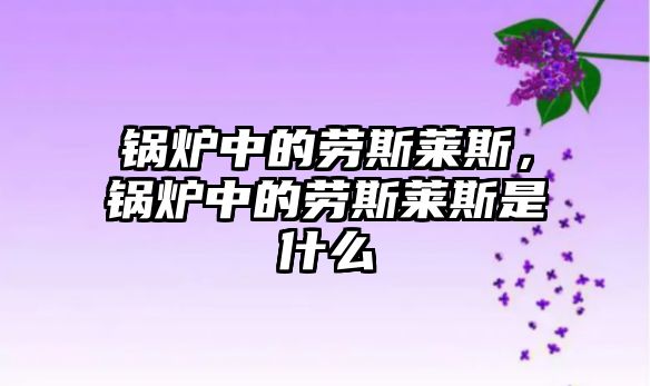 鍋爐中的勞斯萊斯，鍋爐中的勞斯萊斯是什么