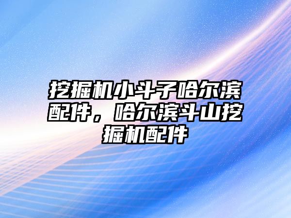 挖掘機小斗子哈爾濱配件，哈爾濱斗山挖掘機配件