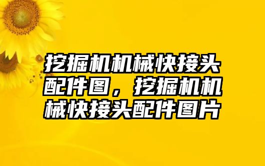 挖掘機機械快接頭配件圖，挖掘機機械快接頭配件圖片