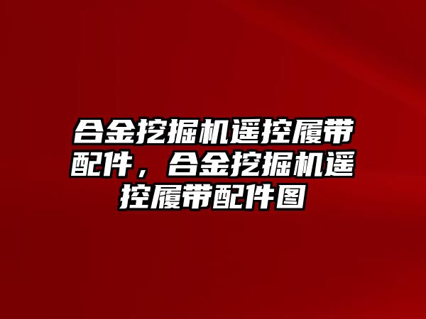 合金挖掘機遙控履帶配件，合金挖掘機遙控履帶配件圖