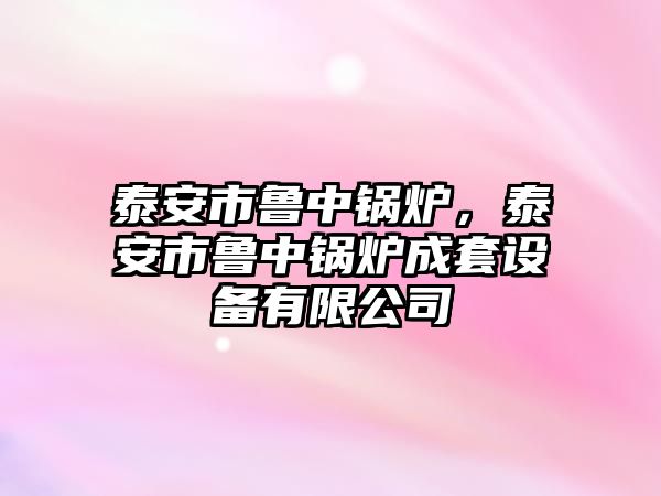 泰安市魯中鍋爐，泰安市魯中鍋爐成套設(shè)備有限公司