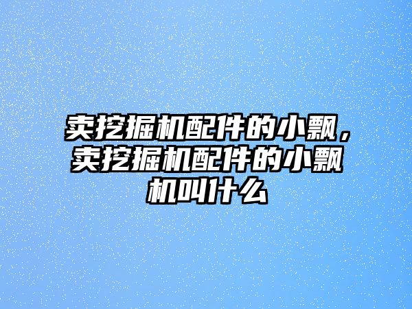 賣挖掘機配件的小飄，賣挖掘機配件的小飄機叫什么