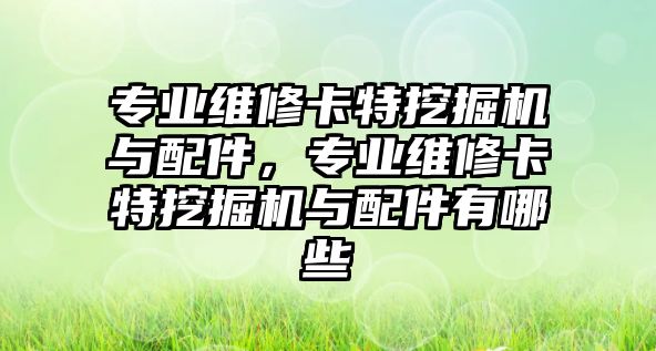 專業維修卡特挖掘機與配件，專業維修卡特挖掘機與配件有哪些