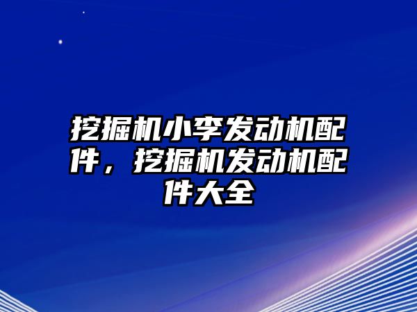 挖掘機小李發動機配件，挖掘機發動機配件大全