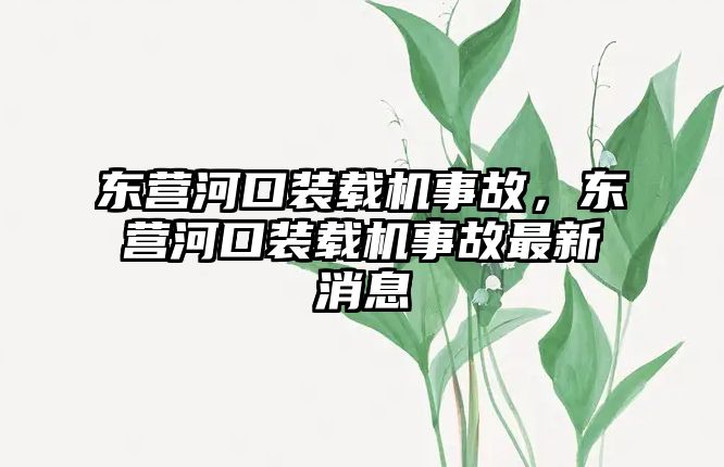 東營河口裝載機事故，東營河口裝載機事故最新消息