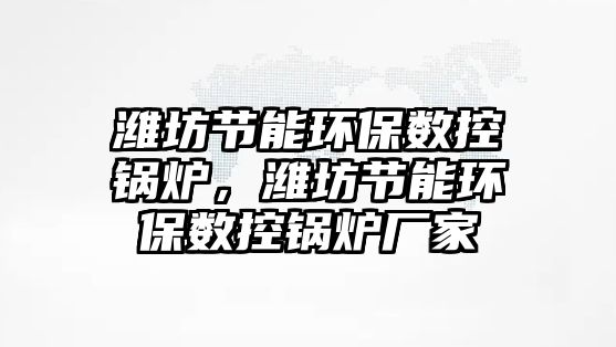 濰坊節能環保數控鍋爐，濰坊節能環保數控鍋爐廠家