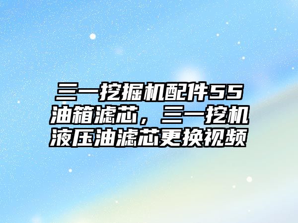 三一挖掘機配件55油箱濾芯，三一挖機液壓油濾芯更換視頻