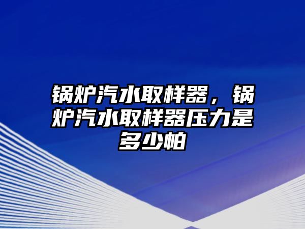 鍋爐汽水取樣器，鍋爐汽水取樣器壓力是多少帕