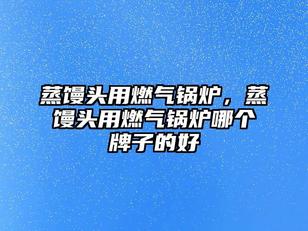 蒸饅頭用燃氣鍋爐，蒸饅頭用燃氣鍋爐哪個牌子的好