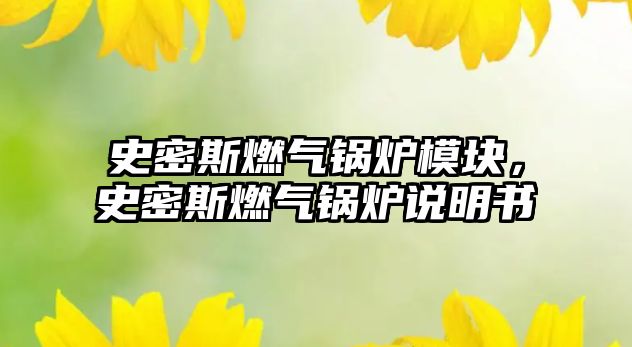 史密斯燃?xì)忮仩t模塊，史密斯燃?xì)忮仩t說明書