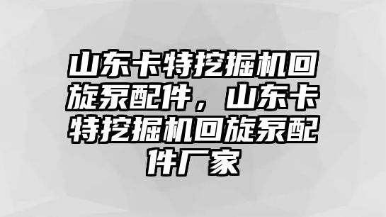 山東卡特挖掘機回旋泵配件，山東卡特挖掘機回旋泵配件廠家