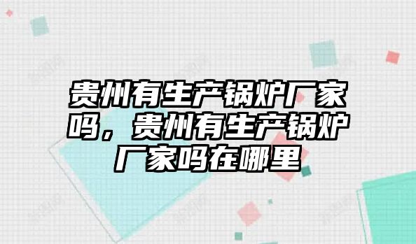 貴州有生產鍋爐廠家嗎，貴州有生產鍋爐廠家嗎在哪里