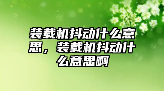 裝載機抖動什么意思，裝載機抖動什么意思啊