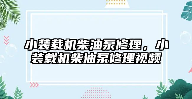 小裝載機(jī)柴油泵修理，小裝載機(jī)柴油泵修理視頻