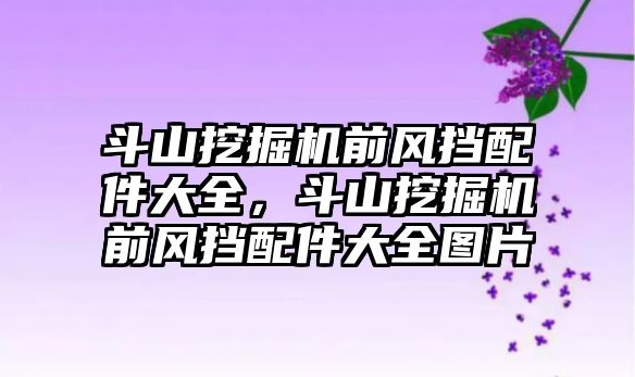 斗山挖掘機前風擋配件大全，斗山挖掘機前風擋配件大全圖片