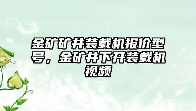 金礦礦井裝載機(jī)報(bào)價(jià)型號(hào)，金礦井下開裝載機(jī)視頻