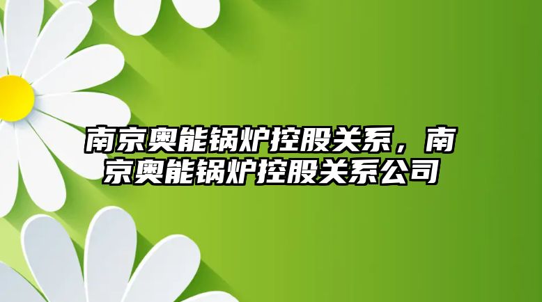 南京奧能鍋爐控股關系，南京奧能鍋爐控股關系公司