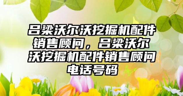 呂梁沃爾沃挖掘機配件銷售顧問，呂梁沃爾沃挖掘機配件銷售顧問電話號碼