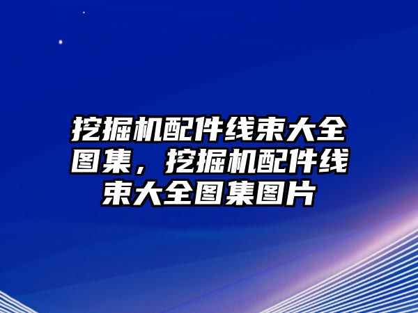 挖掘機(jī)配件線束大全圖集，挖掘機(jī)配件線束大全圖集圖片