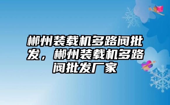 郴州裝載機多路閥批發，郴州裝載機多路閥批發廠家