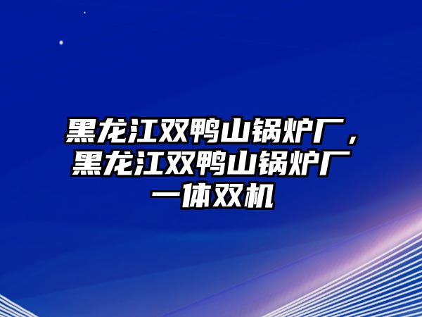 黑龍江雙鴨山鍋爐廠，黑龍江雙鴨山鍋爐廠一體雙機