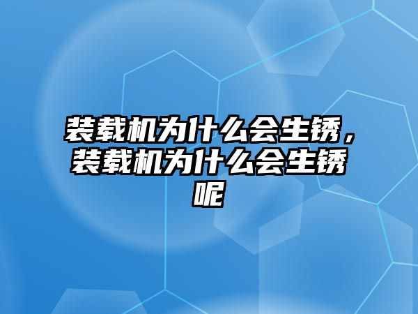 裝載機為什么會生銹，裝載機為什么會生銹呢