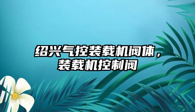 紹興氣控裝載機閥體，裝載機控制閥