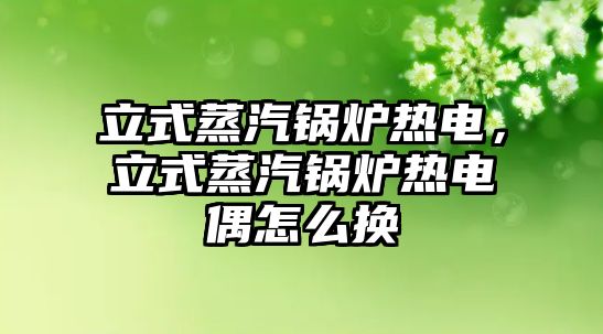 立式蒸汽鍋爐熱電，立式蒸汽鍋爐熱電偶怎么換