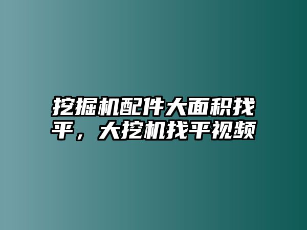 挖掘機(jī)配件大面積找平，大挖機(jī)找平視頻