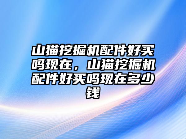 山貓挖掘機配件好買嗎現在，山貓挖掘機配件好買嗎現在多少錢