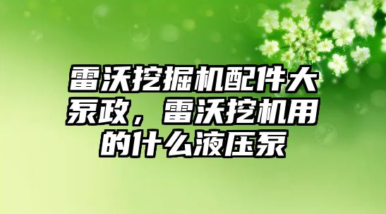 雷沃挖掘機配件大泵政，雷沃挖機用的什么液壓泵