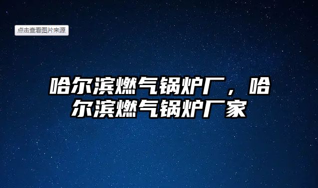 哈爾濱燃氣鍋爐廠，哈爾濱燃氣鍋爐廠家