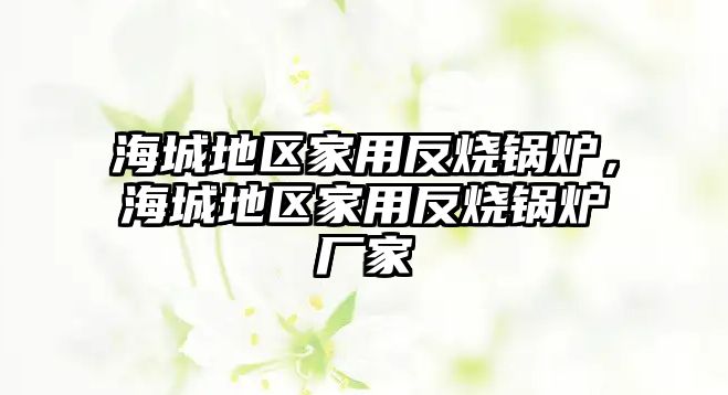 海城地區家用反燒鍋爐，海城地區家用反燒鍋爐廠家