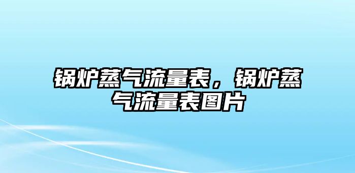 鍋爐蒸氣流量表，鍋爐蒸氣流量表圖片