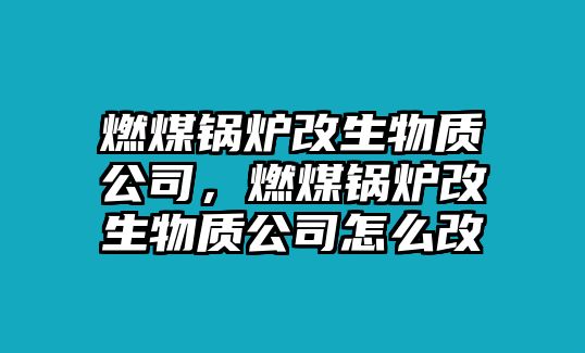 燃煤鍋爐改生物質公司，燃煤鍋爐改生物質公司怎么改