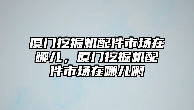 廈門挖掘機配件市場在哪兒，廈門挖掘機配件市場在哪兒啊