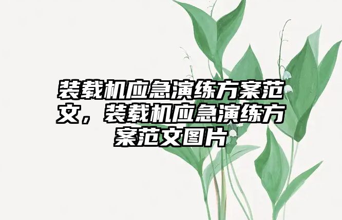 裝載機(jī)應(yīng)急演練方案范文，裝載機(jī)應(yīng)急演練方案范文圖片