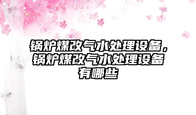 鍋爐煤改氣水處理設備，鍋爐煤改氣水處理設備有哪些