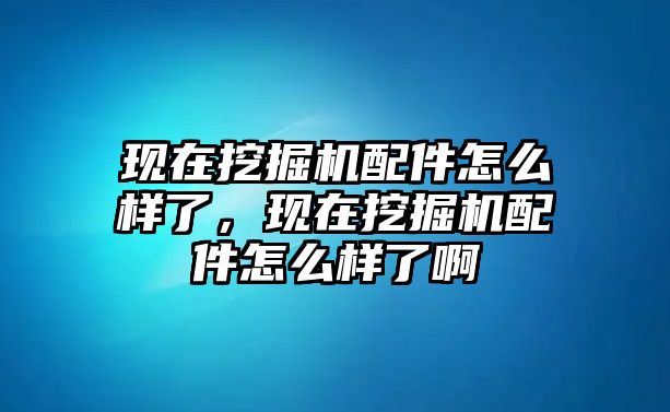 現在挖掘機配件怎么樣了，現在挖掘機配件怎么樣了啊