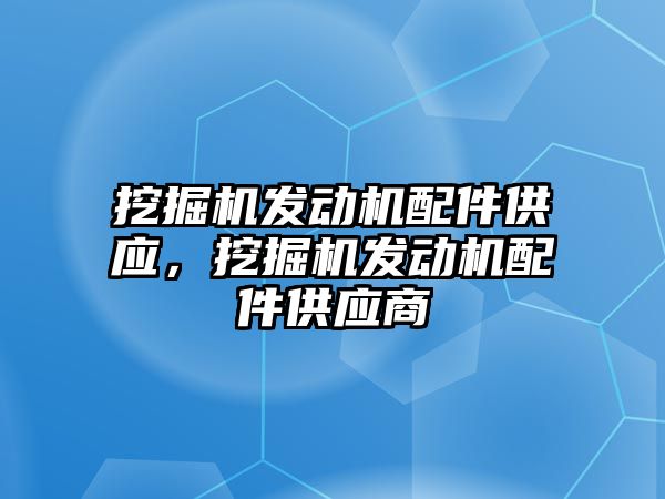 挖掘機發動機配件供應，挖掘機發動機配件供應商