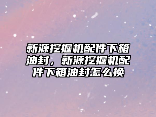 新源挖掘機配件下箱油封，新源挖掘機配件下箱油封怎么換