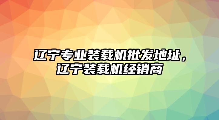 遼寧專業裝載機批發地址，遼寧裝載機經銷商