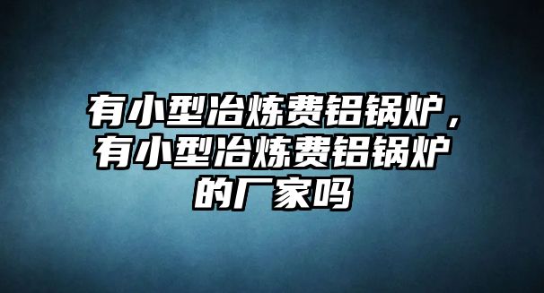 有小型冶煉費鋁鍋爐，有小型冶煉費鋁鍋爐的廠家嗎