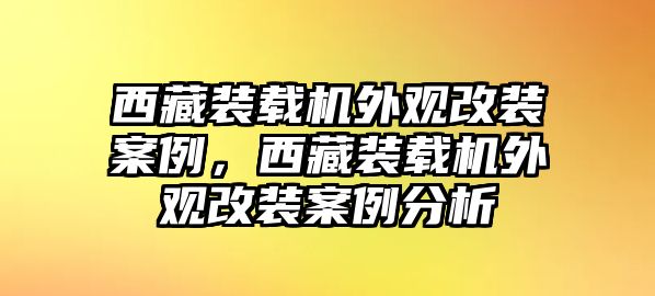 西藏裝載機外觀改裝案例，西藏裝載機外觀改裝案例分析