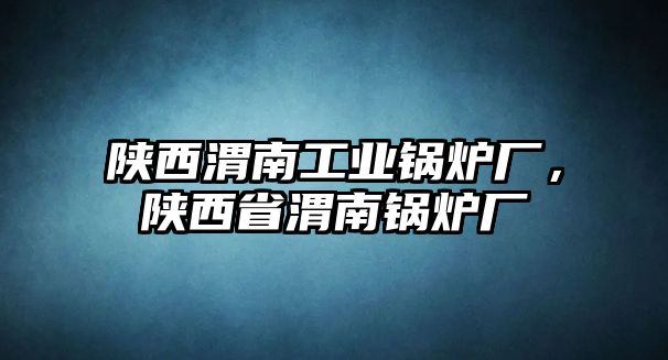 陜西渭南工業鍋爐廠，陜西省渭南鍋爐廠