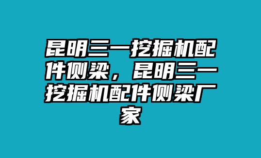 昆明三一挖掘機(jī)配件側(cè)梁，昆明三一挖掘機(jī)配件側(cè)梁廠家