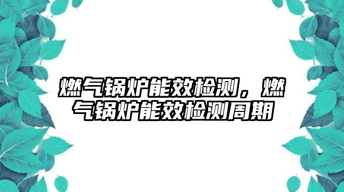 燃?xì)忮仩t能效檢測(cè)，燃?xì)忮仩t能效檢測(cè)周期