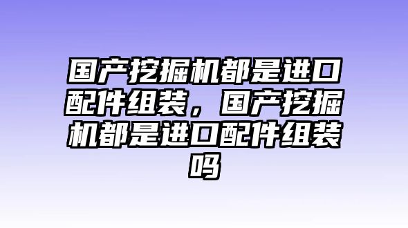 國產挖掘機都是進口配件組裝，國產挖掘機都是進口配件組裝嗎